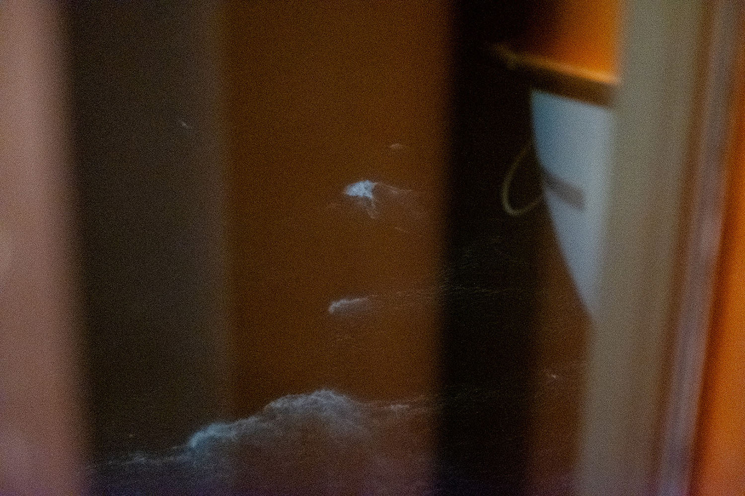 Dansbandsveckan på Birka Gotland 2025. Foto © Lina Haskel